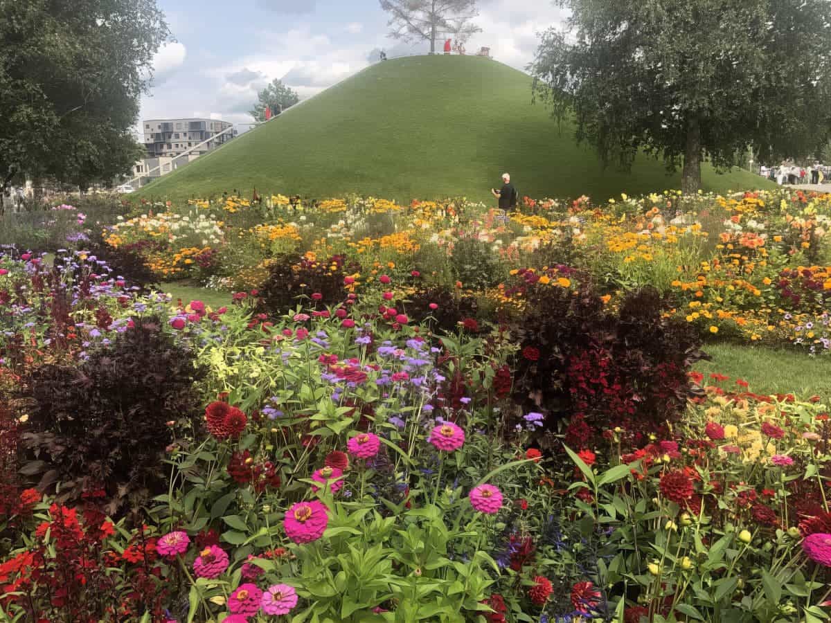 img 4490 155122 112500