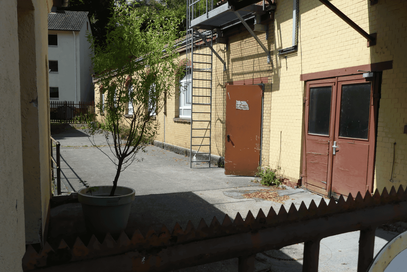 pfaff und schlauder vandalismus dk 120824 (8)