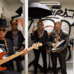 steinwolke screenshot 2024 08 18 000331