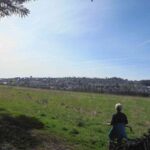 haldenhof sulgendk 050424 (8)