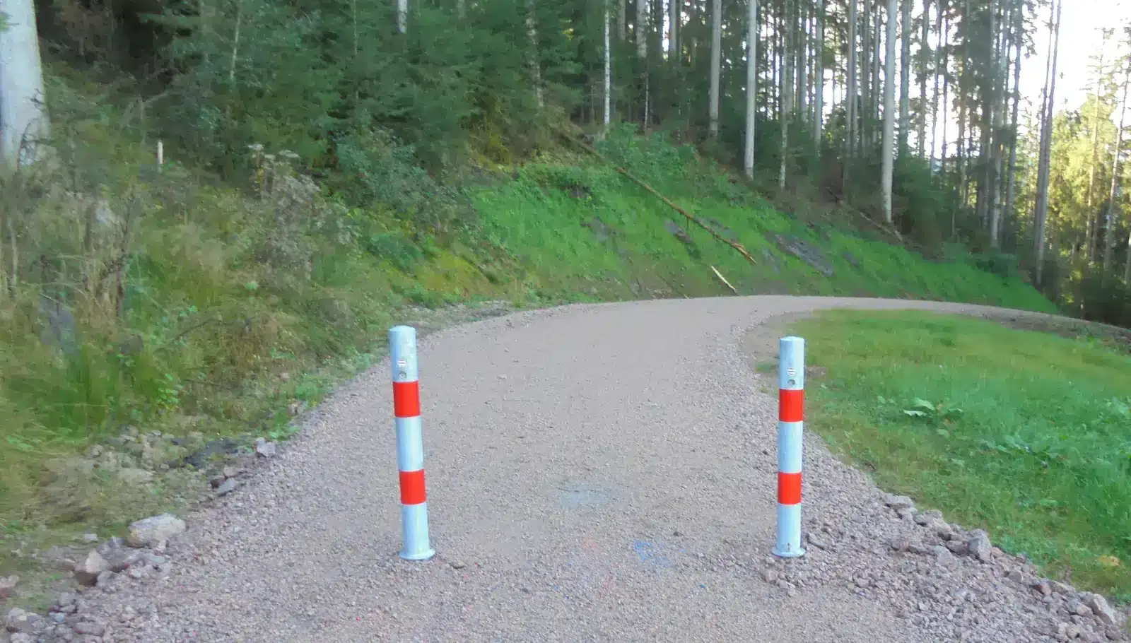 poller forstweg tal sulgen dk 270924 (2)