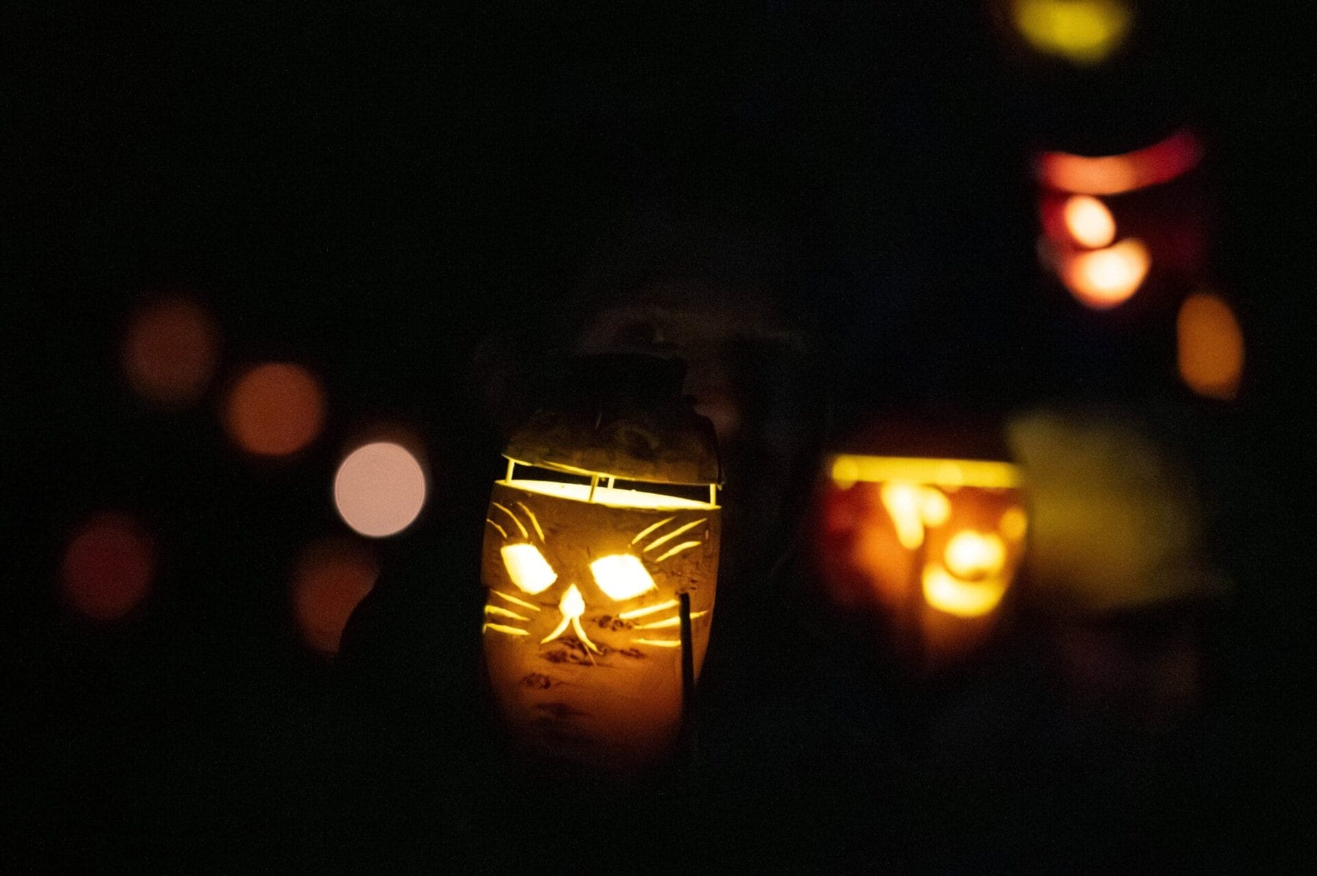 241005 rübengeisterumzug 012