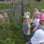 kinderkrippe eselohr bei den ziegen2 pm